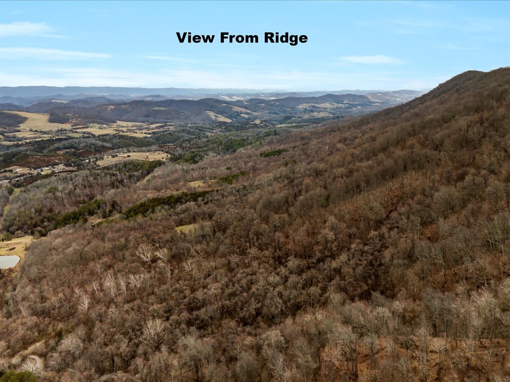 Image of Grainger County Hunting Land  32 Acres of TN Wilderness for Avid Hunters