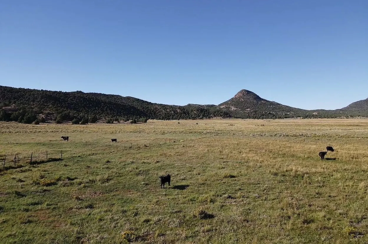 Image of Farmer Rancher Persona  Productive 771 Acre Ranch in Sevier County, UT   Grazing   Water Rights